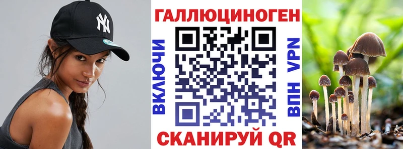 где найти   Межгорье  KRAKEN ссылки  Псилоцибиновые грибы MAGIC MUSHROOMS 